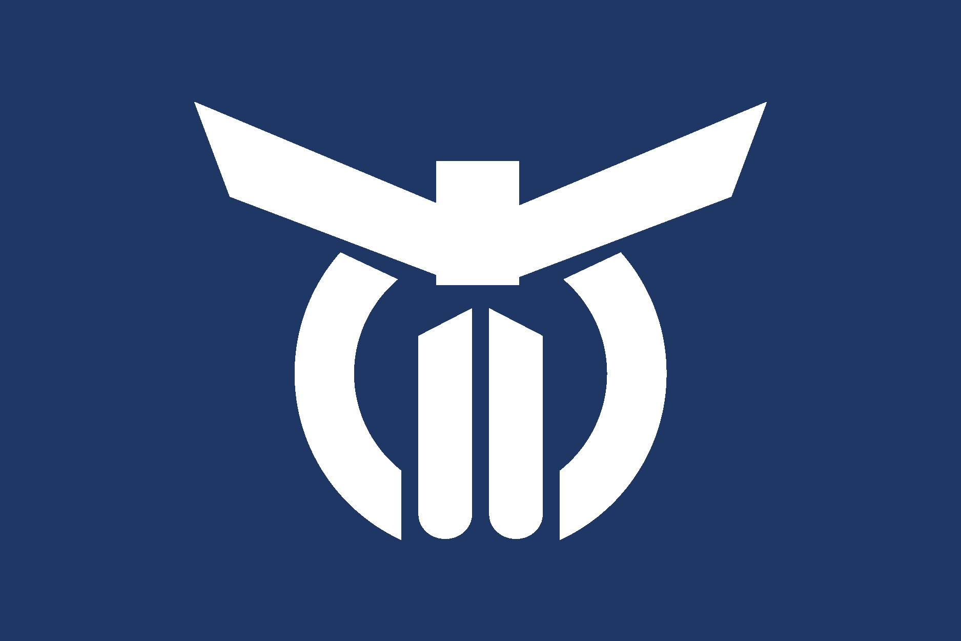 Flag Of Nahari, K┼Нchi Logo Vector Logo